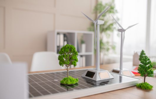 Renewable Energy & Sustainability