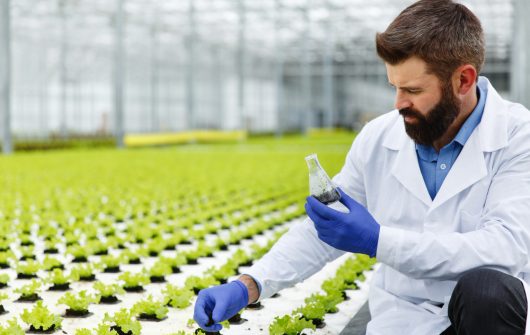 Agro & Food Processing Investment